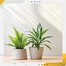 Пластиковий кутовий 2d фотофон, PolyPlast 40x40см - №62254, фото 6