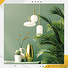 Пластиковий кутовий 2d фотофон, PolyPlast 40x40см - №62231, фото 6