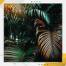 Пластиковий кутовий 2d фотофон, PolyPlast 40x40см - №62206, фото 6