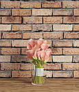 Пластиковий кутовий 2d фотофон, PolyPlast 40x40см - №62213, фото 3