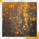 Пластиковий кутовий 2d фотофон, PolyPlast 40x40см - №62189, фото 5