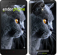 Пластиковый чехол Endorphone на Xiaomi Redmi Note 2 Красивый кот (3038t-96-26985) SN, код: 1537686