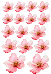 Аркуш А4, кольорові наліпки - Квіти