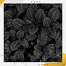 Пластиковий кутовий 2d фотофон, PolyPlast 40x40см - №62103, фото 6