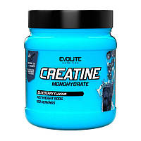 Creatine Monohydrate (500 g, blueberry)