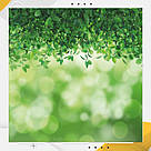 Пластиковий кутовий 2d фотофон, PolyPlast 40x40см - №62039, фото 6