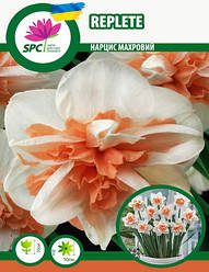 Нарцис махровий Replete