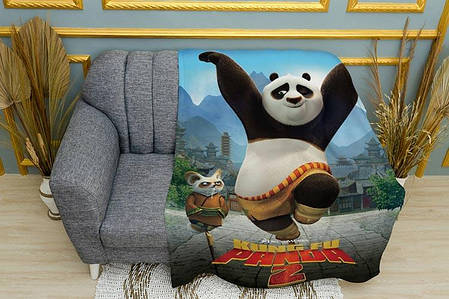 Плед «Kung Fu Panda. Po and Master Shifu. Cartoon», фото 1