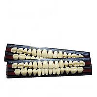 Акриловые зубы Yamahachi (New Ace+Naperce) A2, S8