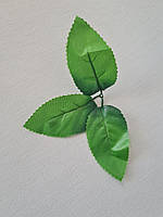Листя декоративні світло-зелені для створення розкішних нев'янучий букетів і композицій з мильних квітів