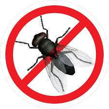 Засіб від мух Fly Repellent Granules Відлякувач 1/100. Концентрат 1 кг, фото 1