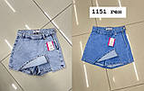 Шорти жіночі 1151 ген, фото 5