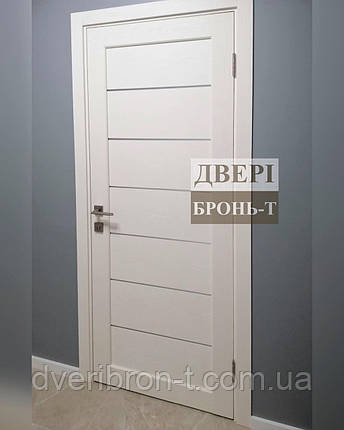 Двері BTDOORS Консул 2, фото 2