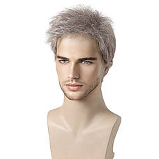 Перука чоловіча коротка пепельна, термоволокно DC1001-5, фото 3