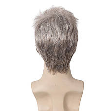 Перука чоловіча коротка пепельна, термоволокно DC1001-5, фото 5