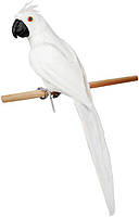 Муляж декоративный Попугай White 70см Bona DP118128 FS, код: 7523180
