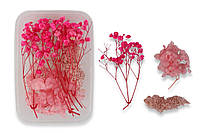Набір сухих квітів для декору, рожеві