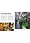 Garden City. Supergreen Buildings, Urban Skyscapes and the New Planted Space. Anna Yudina, фото 4