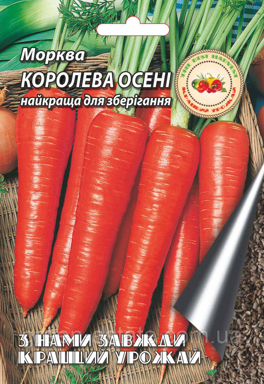 Морква Королева осені 10 г.