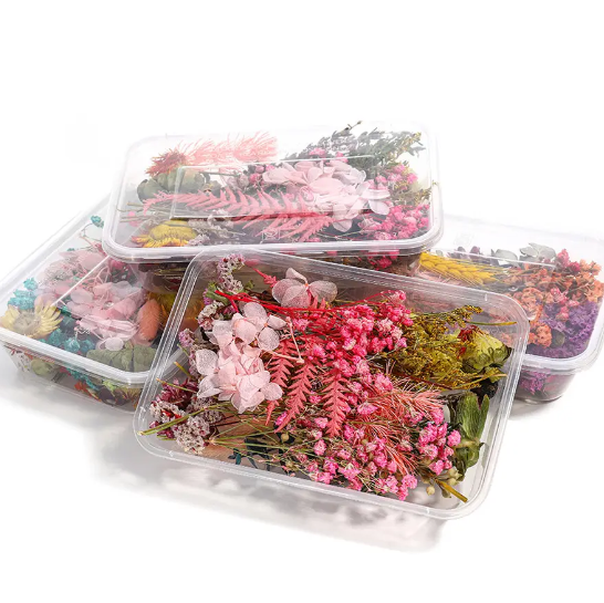 Купить Сухоцветы для декора, эпоксидной смолы, флористики. Сухие цветы ...