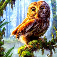 Діамантова вишивка. Картина на підрамнику Сова на гілці, 30х30см, квадратные стразы