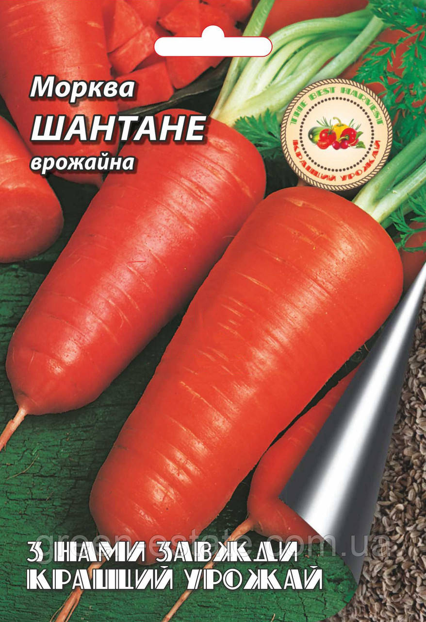 Морква Шантане 2 г.