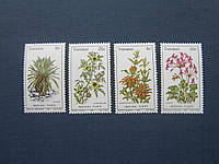 4 марки Транскей (ЮАР) 1981 флора цветы ананас MNH