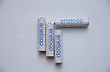 ПОШТУЧНО Panasonic eneloop (виш. Sanyo)  ААА 800 2000 2500 DURACELL, фото 5