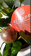 Минеральный шар с красной глины для всех видов растений, микроэлементы FE+MG