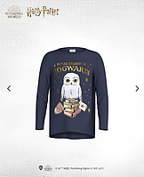 Детская кофта Future Student of Hogwarts Harry Potter Size 110 sm 4-5 years