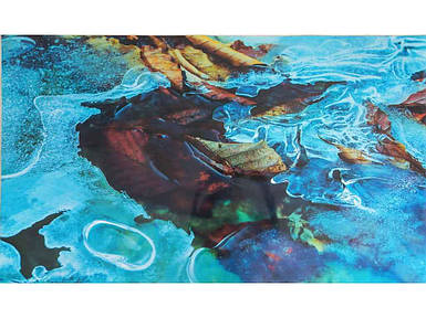 Термосерветка на стіл 1-стороння 0,98*0,58м #16 пластик Листя на воді ТМ Bona Domus FG