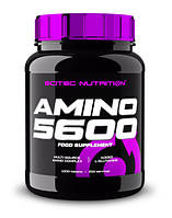 Аминокислоты Scitec Nutrition Amino 5600 1000 таблеток (250 порций)