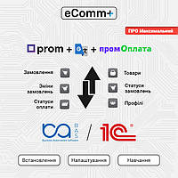 Модуль синхронизации 1С/BAS с Prom.ua, ПРО+Переводчик+Пром-оплата