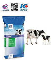 Премікс 1,5-3% для дійних корів (25кг) Коудайс 2320.030