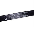 Ремінь 1992H7 PH Hutchinson для пральної машини 481935828002 чорний, фото 2