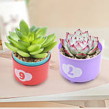 Розвиваючий набір сортер пірамідка Чашки (9 шт) від Obetty, фото 7