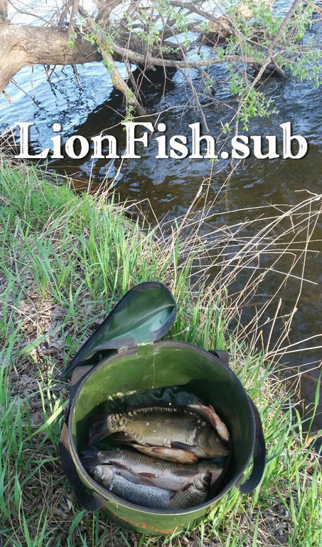 Складное Ведро для Рыбалки LionFish.sub 8л с Крышкой, 2 ручки, Жёлтое, Сумка для Трофейной Рыбы ПВХ