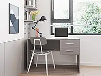 Стильный письменный стол однотумбовый с ящиками Компьютерный стол для дома / офиса 120 см Т2