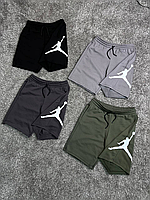 Чоловічі шорти Jordan Dri-fit big logo Шорти Jordan Big Logo Jordan Big Logo шорти літні шорти джердан чоловіч