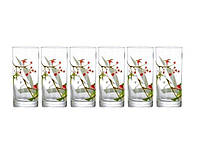 Набір високих склянок Luminarc Beatitude N3563 6 шт 270 мл