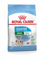 Royal Canin (Роял Канін) MINI STARTER Cухий корм для вагітних і годуючих сук дрібних порід і цуценят 1 кг