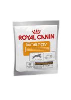 Royal Canin (Роял Канин) ENERGY Дополнительный корм (лакомство) для взрослых собак 50 гр