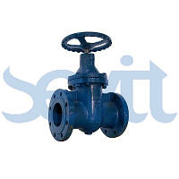 T.I.S SERVICE ЗАВЖЕННЯ З УПЛОТНЕННЯМ МЕТАЛ-МЕТАЛ T.I.S. SERVICE A002 RID DN700 PN10 З РЕДУКТОРОМ