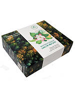 Ферментоване листя яблуні (Карпатський чай)