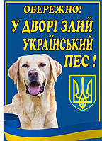 Табличка " Осторожно во дворе злая собака, пес " Лабрадор