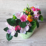 Яблуня ніжно-рожева суцвіття на 4 квітки, фото 4