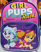 Дитячий рюкзак Paw Patrol Щенячий патруль PL82310 Скай і Еверест зі світловідбивачами 18*10*25 см
