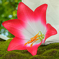Искусственная лилия розово белая (КОД: a W266-250) В 13 см Д 16 см | производство в Польша |24 шт. в