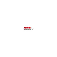 Девелопер Toshiba D-2505 Black 55К (6LJ83445000)