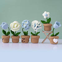 BXDOW Набор для вязания крючком для начинающих, мини-цветочные горшки, букет цветов с горшком, украшения*